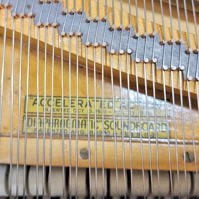 Steinway & Sons Concert Grand Piano image 6