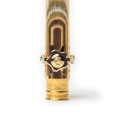 Theo Wanne Tantra 7 Alto for Fiberreed - Gold image 1