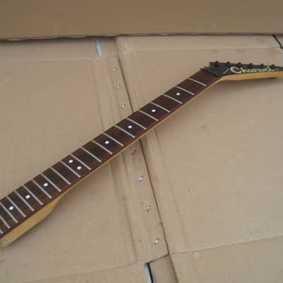 1989 CHARVEL TOOTHPASTE LOGO NECK image 3