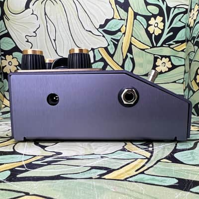 Beetronics FX Pollinator Hazee Delay image 6
