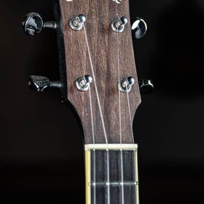 2025 Gold Tone Concert-Scale Banjo Ukulele image 3