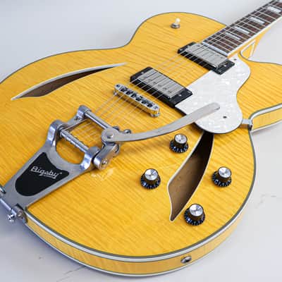 Harmony H620 Single Cut Semi-Hollowbody (~2008) image 18