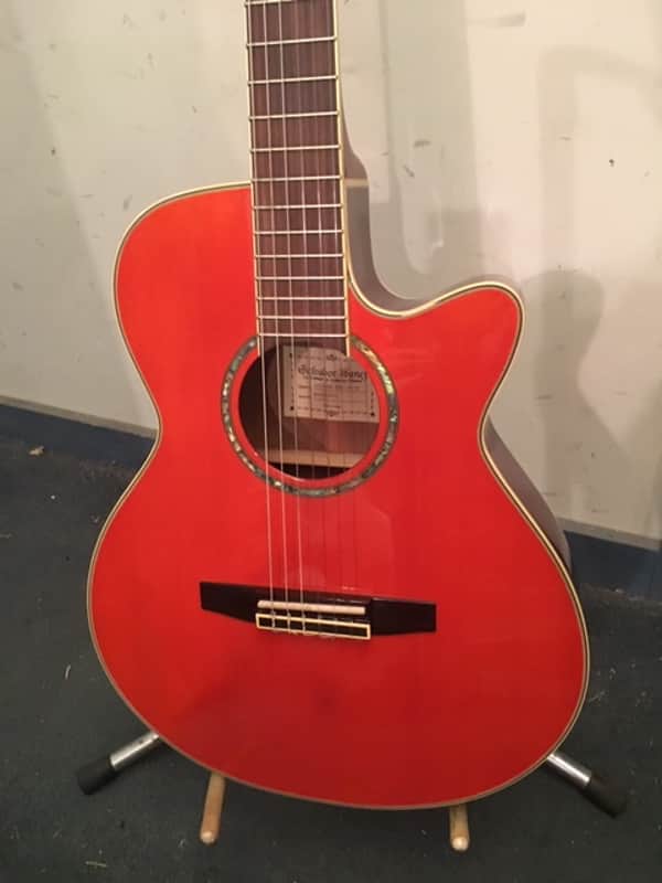 Ibanez AEG10NE image 1