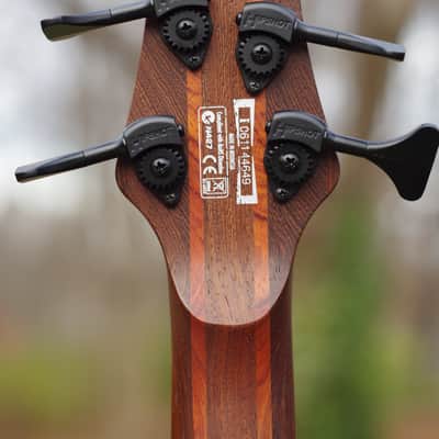 Ibanez EDB555, Upgraded, Light image 4