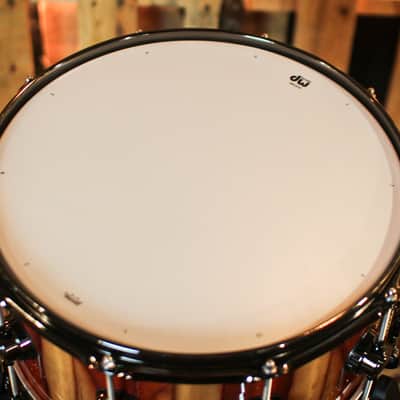 DW 7x14 Collector's Maple VLT Natural Lacquer over Candy Stripe Padauk Snare Drum - SO#1410012 image 4