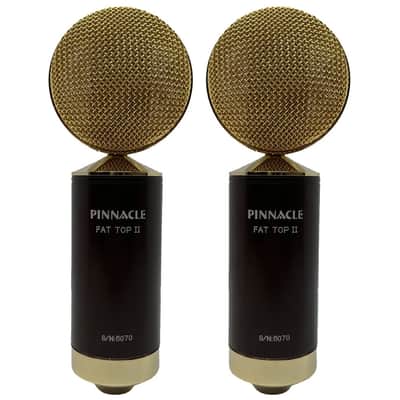 Pinnacle Microphones D-FTII-ST-G Fat Top II Ribbon Microphone Stereo Pair