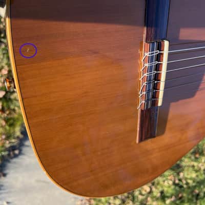 Conde Hermanos Guitarra De Estudio Felipe V N.2 image 8