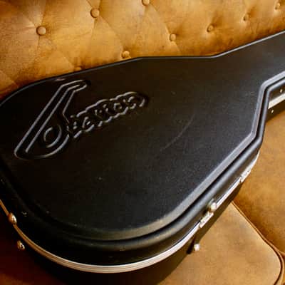 Ovation  Al DiMeola image 14