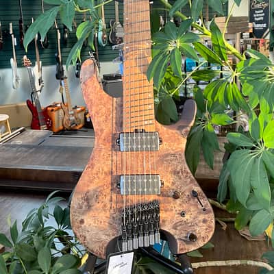 Ibanez QX527PB-ABS Quest Standard 7-String 2021 - Present - Antique Brown Stained image 1