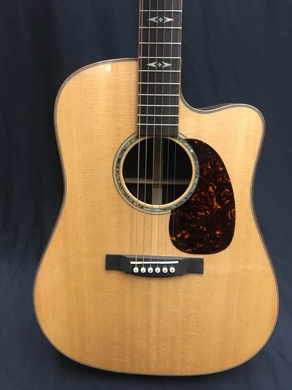 Martin DCPA-1 Acoustic/Electric | Reverb