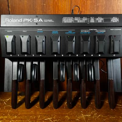 Immagine Roland PK-5A Dynamic Foot Pedal and MIDI Controller w/ power supply - 2