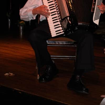 Excelsior Excelsiola Model 714 Black Accordion with Pickup and Gig Bag image 2