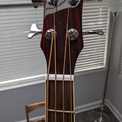 Michael Kelly Acoustic/Electric Bass Guitar image 9
