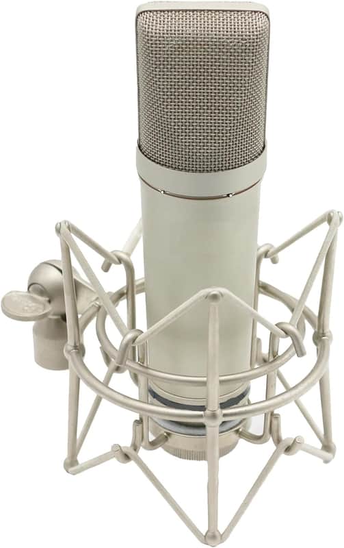 XLR Microphone, Professional Condenser Microphone with 34mm Large Diaphragm, Cardioid Studio Recording Mic Computer Gaming PC Mic Kit for Singing, Podcasting, YouTube (Silver) image 1