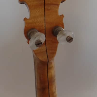 Wildwood Artist open-back banjo image 6