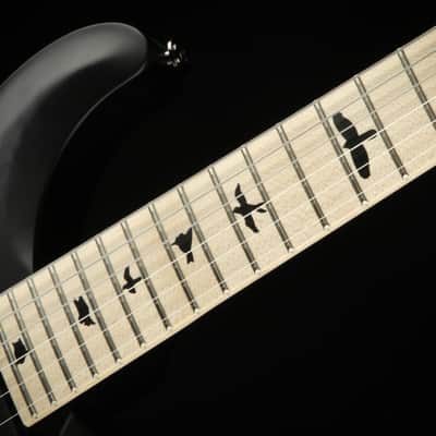 PRS DW (Dustie Waring) CE 24 "Floyd" - Whale Blue Smokewrap Burst image 9