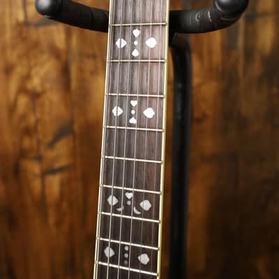 Tyler Mountain 6 String Banjo image 6
