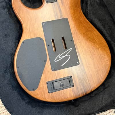 Ernie Ball Music Man Luke 4 30th Anniversary 2023 - Steamroller image 8