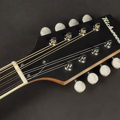 Richwood Master Series RIBZ-40 Irish Bouzouki image 4
