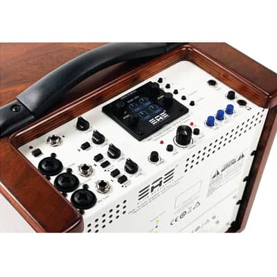 Elite Acoustics EAE D4-8 Rechargeable Acoustic Amp with 4 Channel Digital Mixer/LFP Battery - Wood image 9
