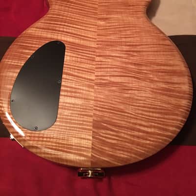 Carvin SH550 image 6