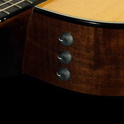 2024 Taylor 614CE Grand Auditorium with V-Class Bracing & Expression II ~ Brown Sugar image 6