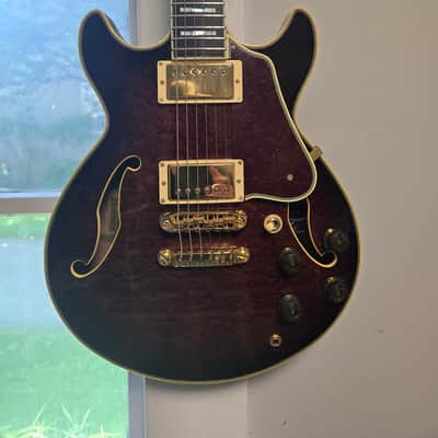 Ibanez AM200 image 1