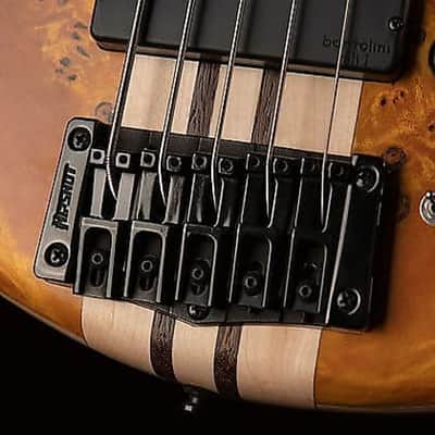 Cort A5PLUSSCAOP Artisan Series Ash Body Poplar Burl Top 5-String Electric Bass Guitar w/Premium Soft Case image 5