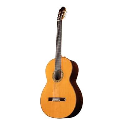 6 String Contrabass Guitar (Octave Bass) - Esteve PS75 - All Solid Wood/Cedar/Indian Rosewood - 750mm Scale Length image 11