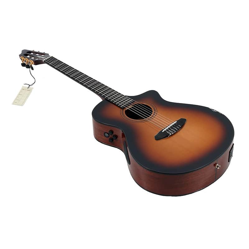 Breedlove Solo Pro Concert Nylon-String Classical Acoustic-Electric Guitar Regular Edge Burst image 1