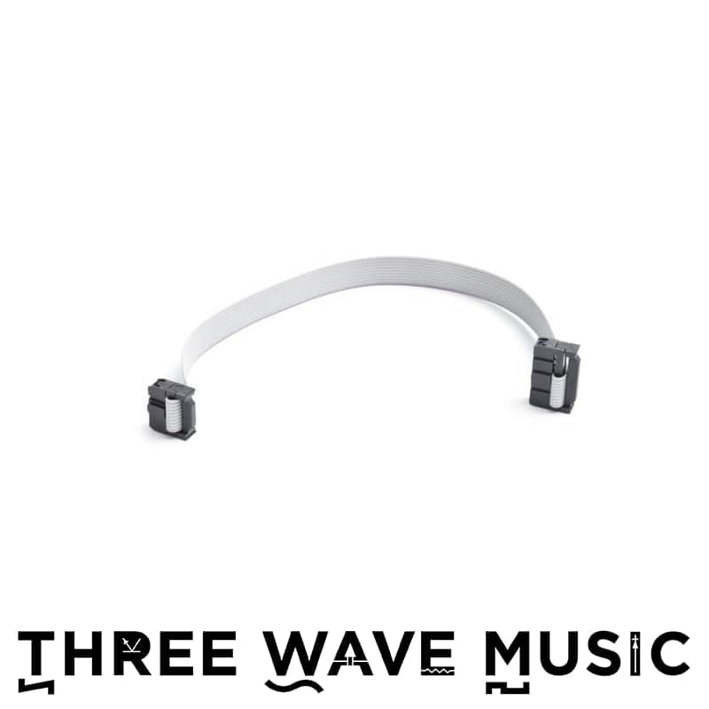 Eurorack Module Power Cable 10P-16P 10-inch [Three Wave Music] image 1