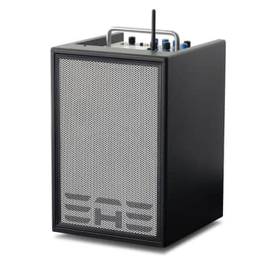 Elite Acoustics A4-8-Carbon Fiber Black image 5