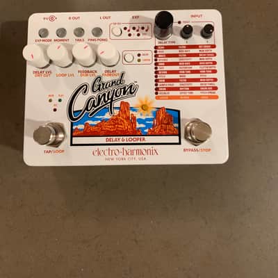 Electro-Harmonix Grand Canyon Delay and Looper 2018 - Present - White image 1