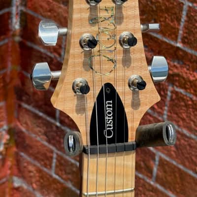 PRS Custom 24 Wood Library Edition 2018 - stunning Flamey Autumn Sky'burst w/Flamey Maple Neck ! image 6