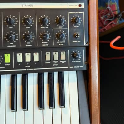 1970's Korg Trident MK1 - [Serviced / Calibrated with CHD MIDI] image 3