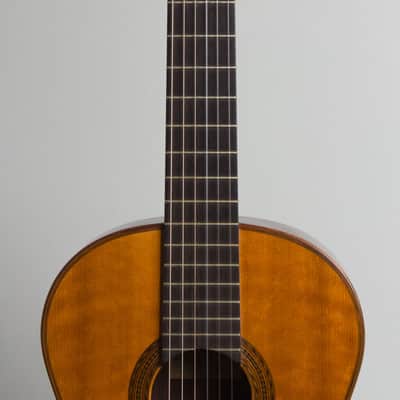 Manuel Velazquez Classical Guitar (1971), Mark Leaf black hard shell case. image 8