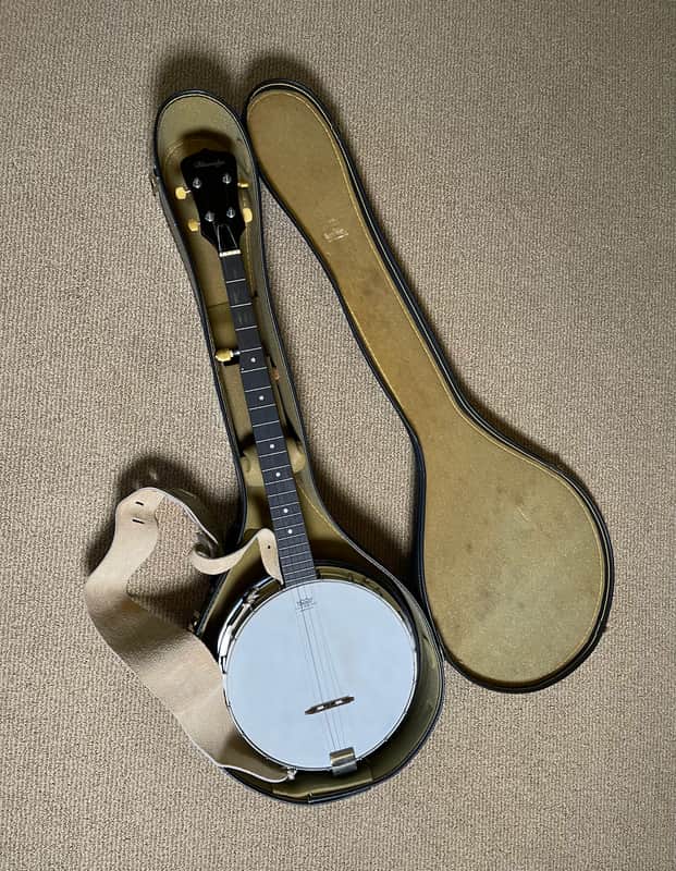 Blueridge Banjo 5-string Remo Drum Head w/ Hard Case image 1