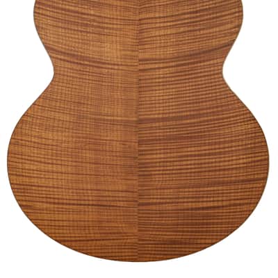Boucher GR-SG-163T Guitar #GR-ME-1052-J image 12