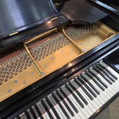 Steinway & Sons 9ft Model D 1974 - Satin Ebony image 12