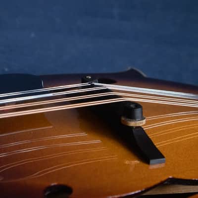 Epiphone 1983 Epiphone MM-50 image 7
