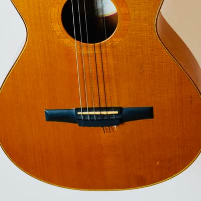 Rare Taylor NS52ce (2003) – Jason Mraz Spec – USA Made – Fishman image 3