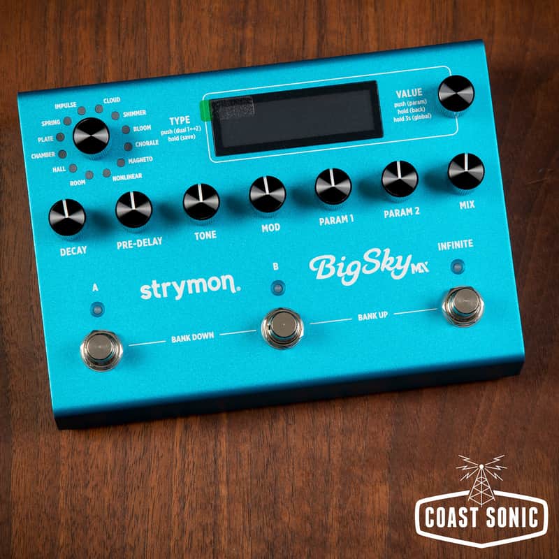 Mint Strymon BigSky MX Multi Reverb image 1