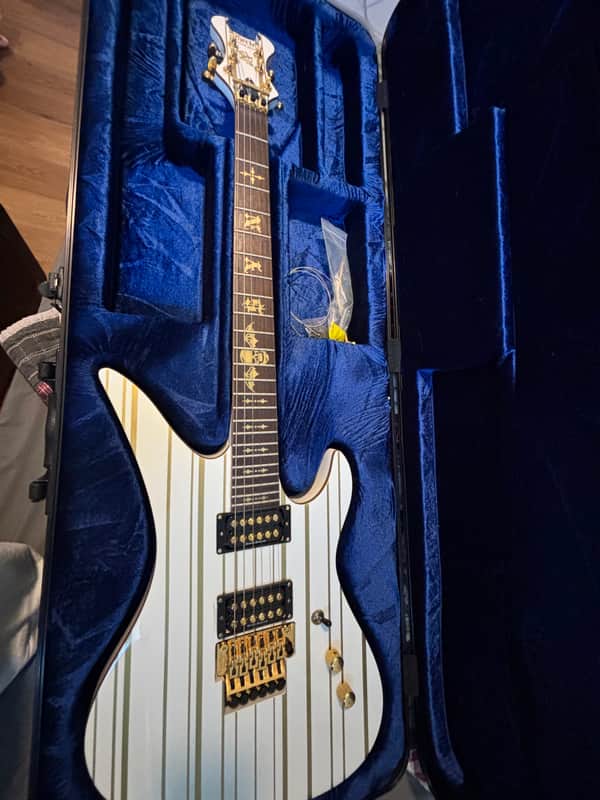 Schecter Synyster Gates Signature Synyster Custom-S Sustainiac