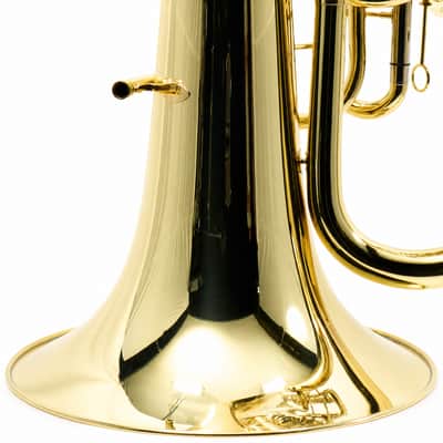 Eastman EBF862 Professional F Tuba in Clear Lacquer image 12