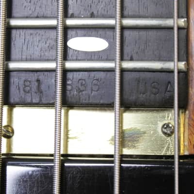Alembic Series 1 - 1981 **Includes Original Power Supply** image 15
