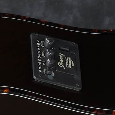 Ibanez AEB10EDVS 4-String Acoustic Bass Guitar, Dark Violin Sunburst High Gloss image 2