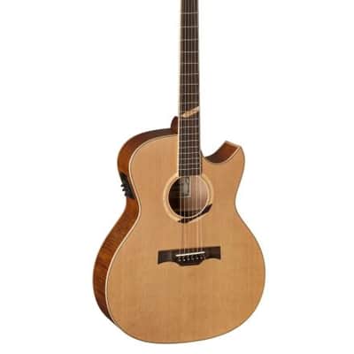 Baton Rouge X6C/ACE MYSTIQUE
Electro-acoustic image 1