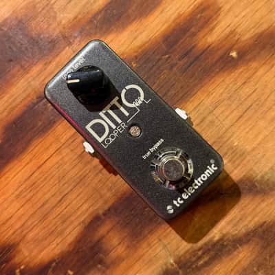 ギター TC ELECTRONIC Ditto Looper GOLD Limited TC Electronic Ditto Looper Limited Edition | Reverb