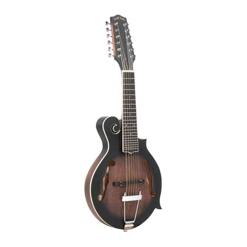 Gold Tone F-12: 12-string F-style Mando-Guitar with Pickup and Case image 1