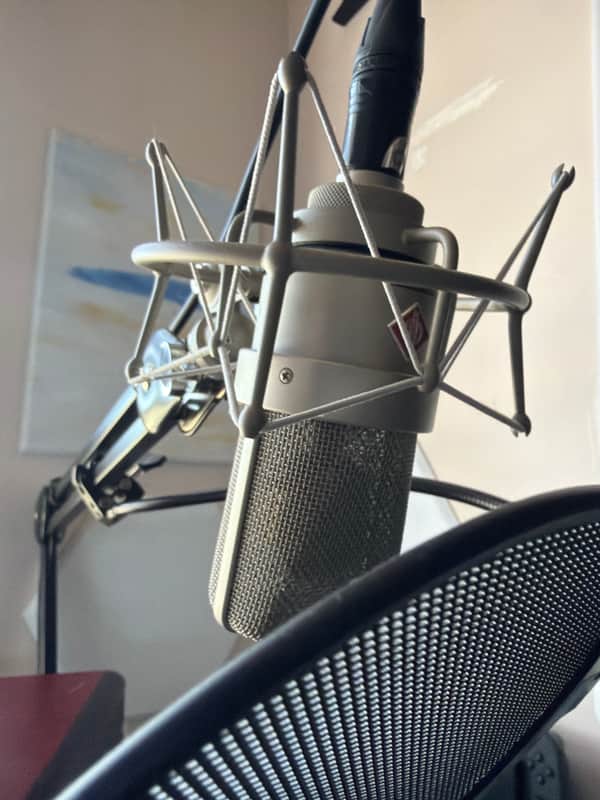 Neumann TLM 103 75th Anniversary Package with EA1 Shockmount 2010s - Silver image 1